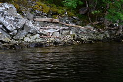 Le Loch Ness